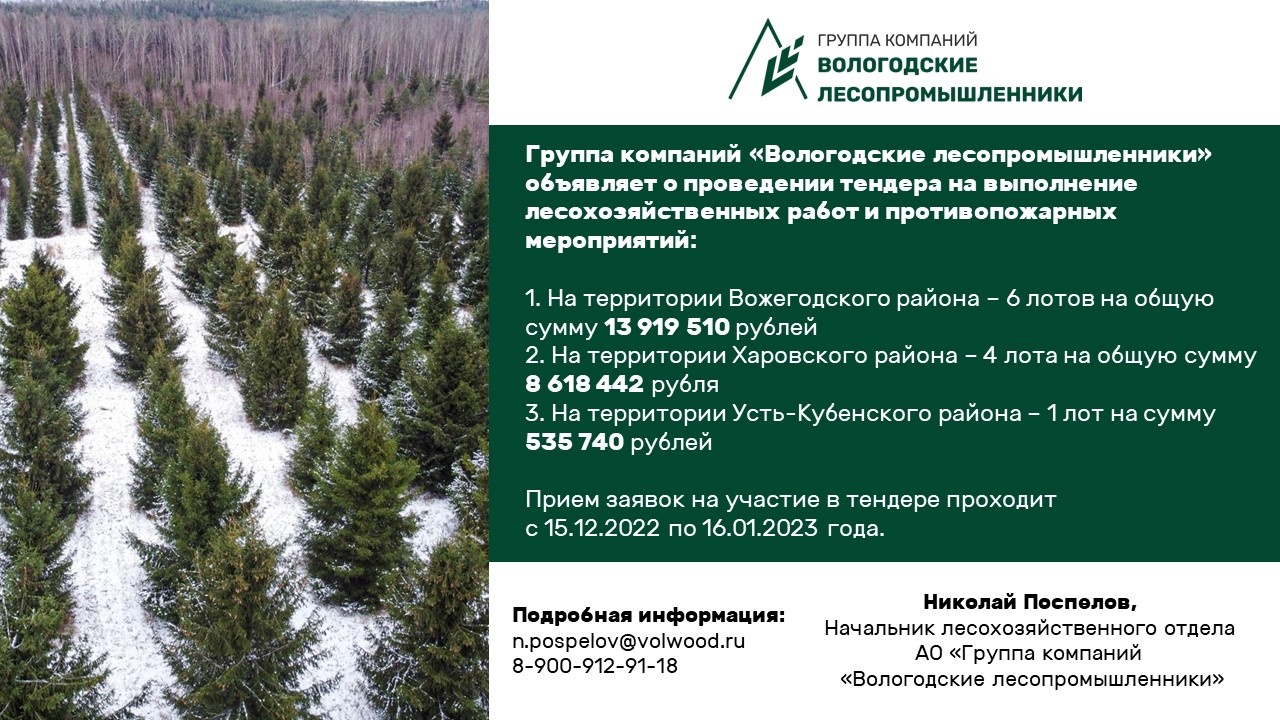 Vologodskiye Lesopromyshlenniki Group announces a tender for forestry works and firefighting activities