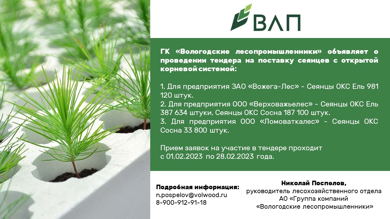 “Vologda timber industry” announces a tender for the supply of seedlings with open root system