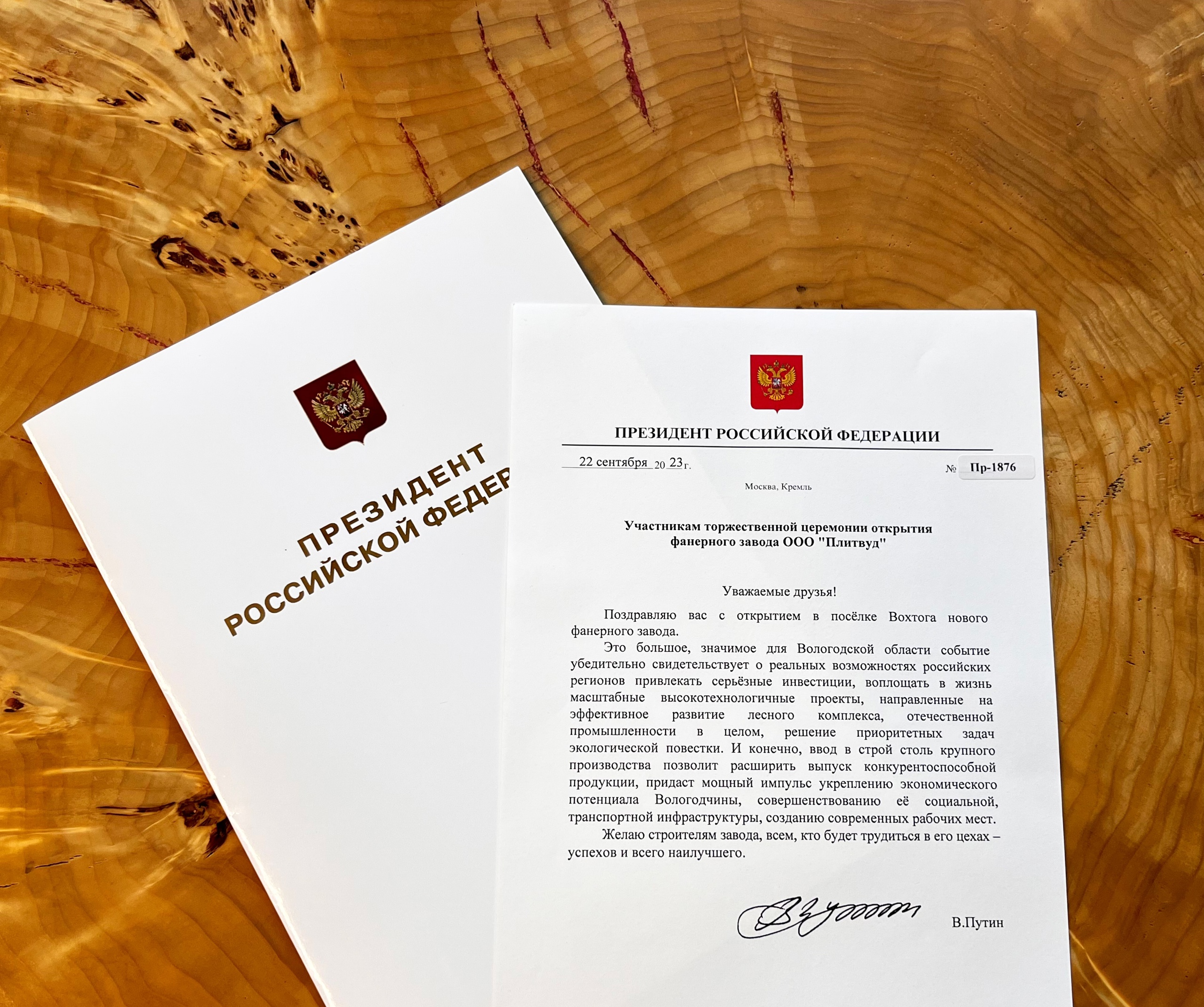 Владимир Путин поздравил руководство «Плитвуд» и регион с открытием фанерного комбината