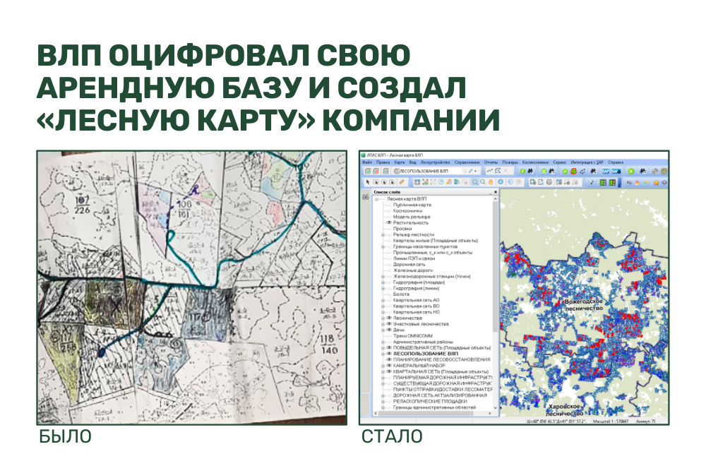 ВЛП оцифровал свою арендную базу и создал «лесную карту» компании